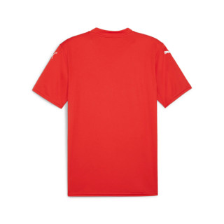 PUMA TEAMGLORY JERSEY ROUGE