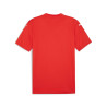 PUMA TEAMGLORY JERSEY ROUGE