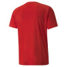 PUMA TEAMLIGA STRIPED JERSEY ROUGE