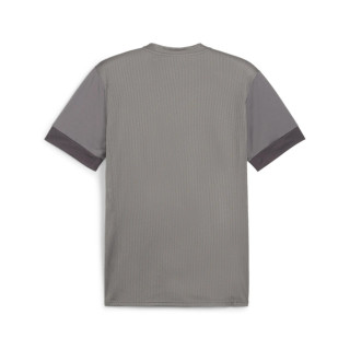 PUMA TEAMGOAL MATCHDAY GRIS