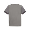 PUMA TEAMGOAL MATCHDAY GRIS