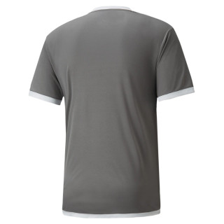 PUMA TEAMLIGA JERSEY GRIS