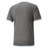 PUMA TEAMLIGA JERSEY GRIS