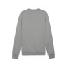 PUMA TEAMGOAL CASUAL CREW NECK SWEAT GRIS