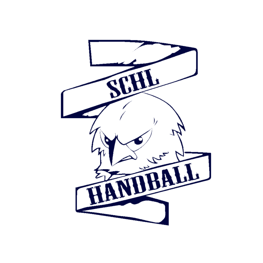 old_SCHLHANDBALL