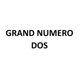 Personnalisation Grand numéro dos (20cm haut)