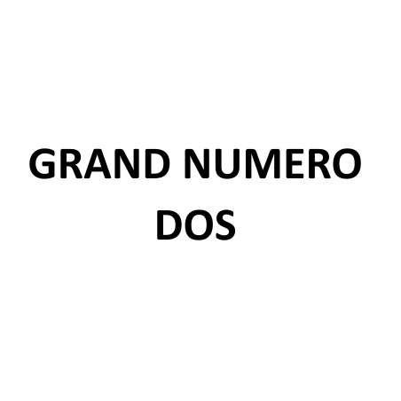 Personnalisation Grand numéro dos (20cm haut)