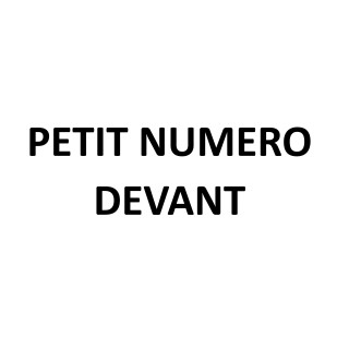 Personnalisation Petit numéro (10cm haut)