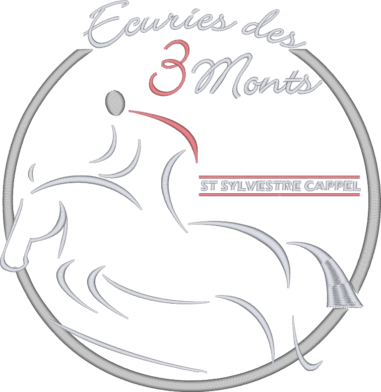 Les olympiades
